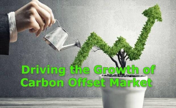 KENYA'S CARBON GOLD RUSH